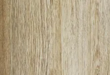 Coriander Oak